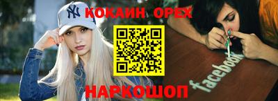 крисы Будённовск