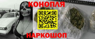 крисы Будённовск
