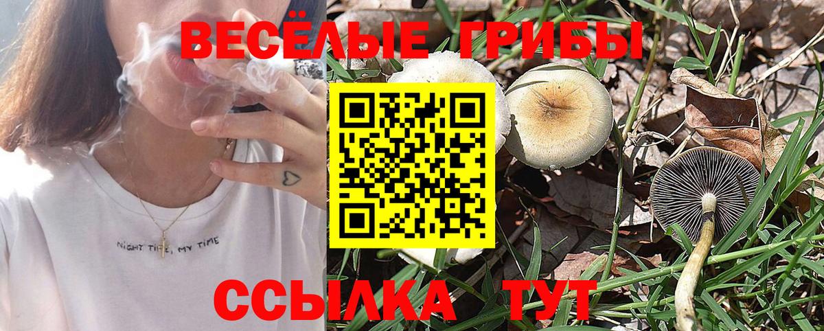 Псилоцибиновые грибы мухоморы Павлово